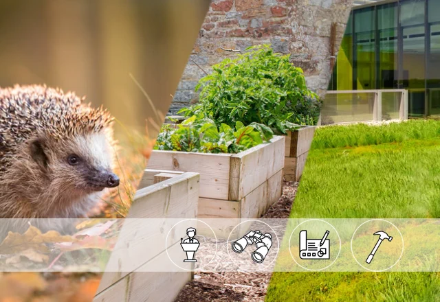 weitere Events zum Thema Biodiversität